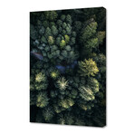 nature-08 (8"H x 12"W x 0.75"D)