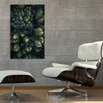 nature-08 (8"H x 12"W x 0.75"D)