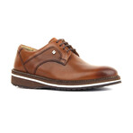 Zack Classic Shoes // Tobacco (Euro: 44)