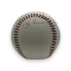 Yogi Berra, Johnny Bench, Carlton Fisk & Gary Carter // Signed Baseball // Limited Edition #24/100