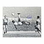 Pele // Brazil Soccer // Signed B&W Bicycle Kick 16x20 Photo (Beckett)