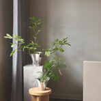 Bloom Botanica // Flower Pot (Small)