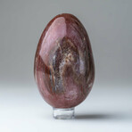 Genuine Polished Petrified Wood Egg with Acrylic Display Stand // V1
