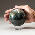 Genuine Polished Labradorite Sphere with Acrylic Display Stand