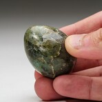 Genuine Polished Labradorite Egg with Acrylic Display Stand