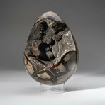 Large Genuine Septarian Druzy Egg with Acrylic Display Stand // V2
