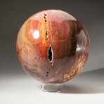 Giant Petrified Wood Sphere with Acrylic Display Stand