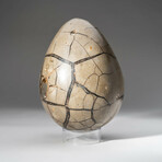 Large Genuine Septarian Druzy Egg with Acrylic Display Stand // V2