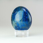 Polished Lapis Lazuli Egg With Acrylic Display Stand