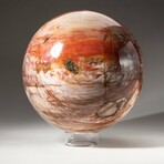 Giant Petrified Wood Sphere with Acrylic Display Stand
