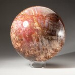 Giant Petrified Wood Sphere with Acrylic Display Stand
