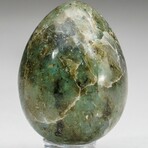 Genuine Polished Labradorite Egg with Acrylic Display Stand
