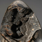 Large Genuine Septarian Druzy Egg with Acrylic Display Stand // V2