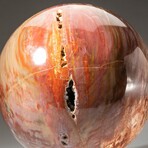 Giant Petrified Wood Sphere with Acrylic Display Stand
