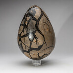 Large Genuine Septarian Druzy Egg with Acrylic Display Stand // V1