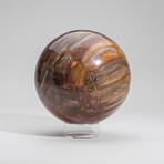 Large Genuine Polished Petrified Wood Sphere with Acrylic Display Stand