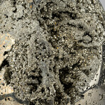 Giant Genuine Polished Pyrite Egg with Acrylic Display Stand