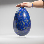 Giant Genuine Polished Lapis Lazuli Egg with Acrylic Display Stand