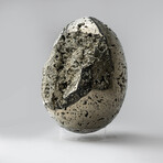Giant Genuine Polished Pyrite Egg with Acrylic Display Stand