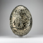 Giant Genuine Polished Pyrite Egg with Acrylic Display Stand
