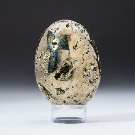 Genuine Polished Pyrite Egg 2.25" With Acrylic Display Stand