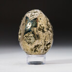 Genuine Polished Pyrite Egg 2.25" With Acrylic Display Stand