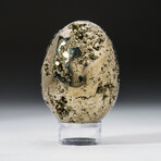 Genuine Polished Pyrite Egg 2.25" With Acrylic Display Stand