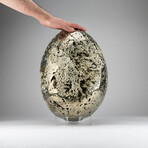 Giant Genuine Polished Pyrite Egg with Acrylic Display Stand