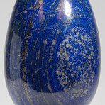 Giant Genuine Polished Lapis Lazuli Egg with Acrylic Display Stand