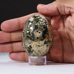 Genuine Polished Pyrite Egg 2.25" With Acrylic Display Stand