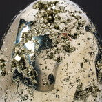 Genuine Polished Pyrite Egg 2.25" With Acrylic Display Stand