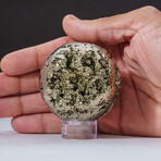 Genuine Polished Pyrite Sphere with Acrylic Display Stand