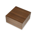 Bartolomeo Ferracina Limited Edition Fountain Pen // ISBFN3CR // Store Display