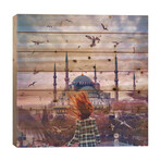 Red Fire In Istanbul by Hobopeeba (26"H x 26"W x 1.5"D)