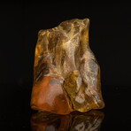 Dominican Amber With Organic Matter // 2.44 Lb.