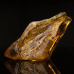Dominican Amber With Organic Matter // 2.44 Lb.