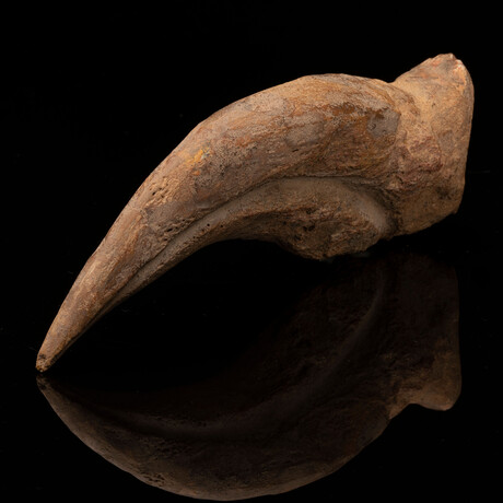 Spinosaurus Hand Claw // Ver. 2