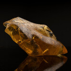 Dominican Amber With Organic Matter // 2.44 Lb.