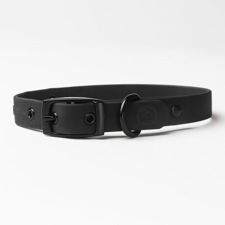 Diggs Buckle Collar // Medium (Ash)