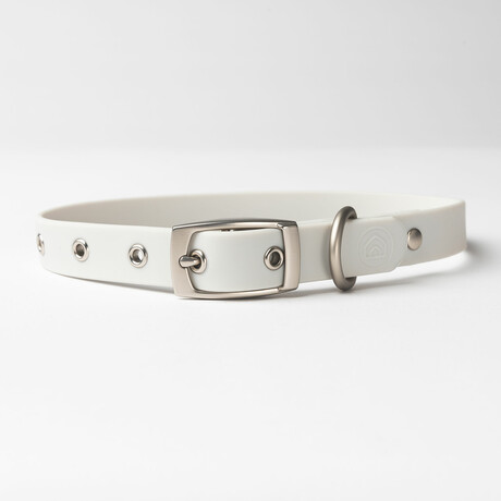 Diggs Buckle Collar // Small (Ash)