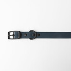 Diggs Buckle Collar // Medium (Ash)