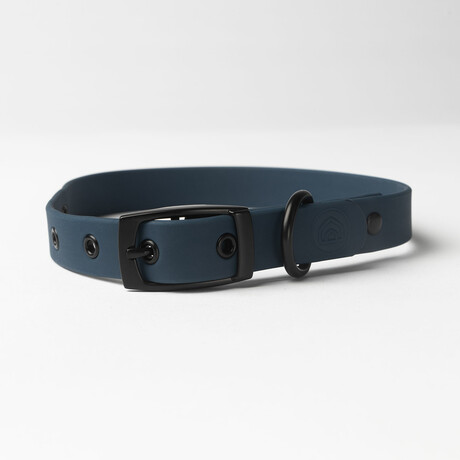 Diggs Buckle Collar // Large (Ash)