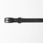 Diggs Buckle Collar // Large (Ash)