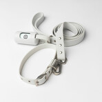 Diggs Leash (Ash)