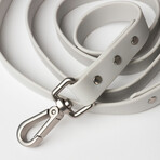 Diggs Leash (Ash)