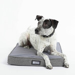 Snooz Dog Crate Pad // Small (Gray)