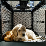 Cee702c81f7d1f41036788d6cd0255e6 small