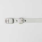 Diggs Buckle Collar // Medium (Ash)