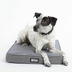 Snooz Dog Crate Pad // Medium (Gray)