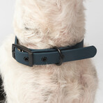 Diggs Buckle Collar // Small (Ash)